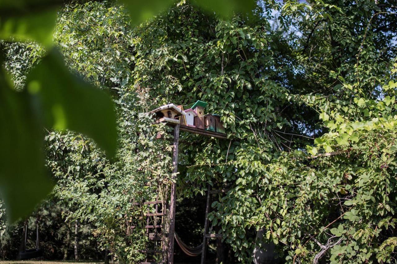 Apartamenty Na Kasztelanskiej Spytkowice  ภายนอก รูปภาพ